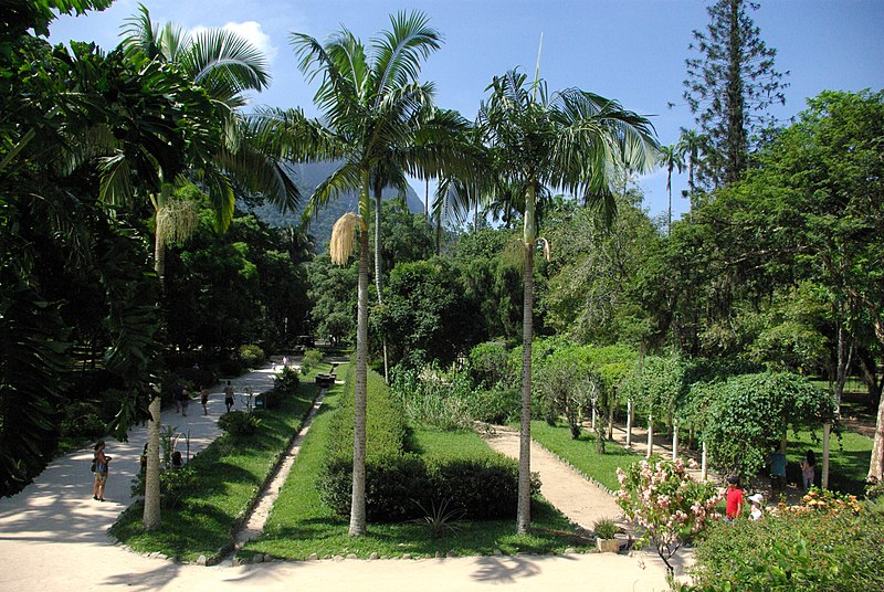 Jardim Botânico - Rio de Janeiro